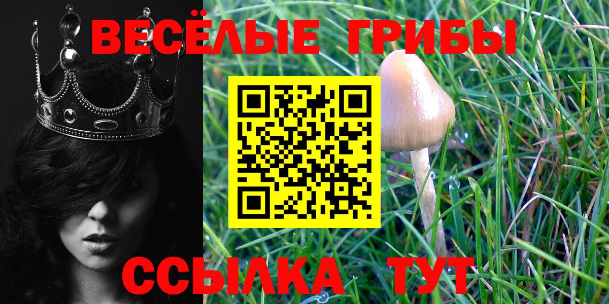 Галлюциногенные грибы ЛСД  Вход с VPN  Камень-на-Оби 